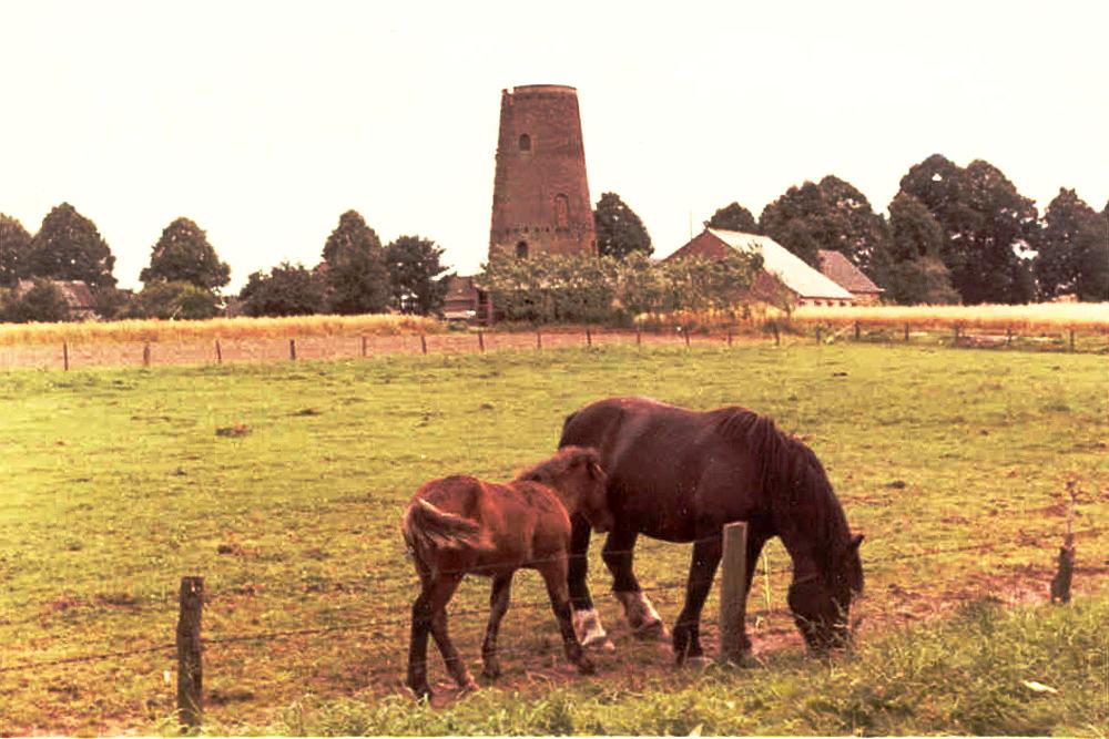 3, Molen 03129 a Molen van  Sloot / De Hoop (Keijenborg), Foto ingezonden door J.H.B.J.Haarsma, Foto gemaakt door H.J. Haarsma 01-01-1960 | Database Nederlandse molens media-bestand