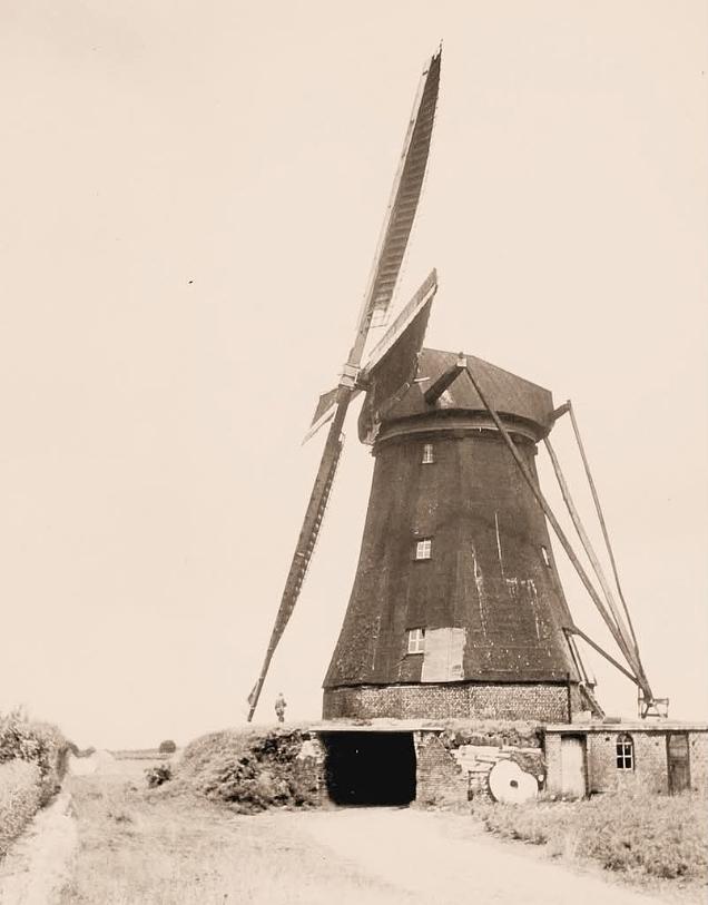 1, Molen 02810 Molen van Helden-Beringen / Molen van Holten (Beringe), foto coll. DVM | Database Nederlandse molens media-bestand