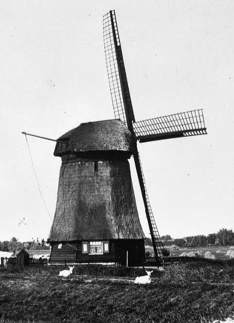 Molen 00172 Strijkmolen F (achter Oudorp) (Oudorp), Deel van een foto uit de collectie van de Rijksdienst voor het Cultureel Erfgoed. Documentnummer195.970
| Database Nederlandse molens media-bestand