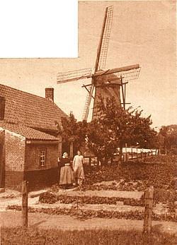 2, Molen 01672 Molen van Aalbregtse (Cadzand), Zeeuwse courant 19 juli 1929, coll. F.Weemaes | Database Nederlandse molens media-bestand