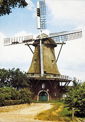 1, Molen 04415 (korenmolen) (Schoonoord), Ansichtkaart, uitg. Jelly's Warenhuis, Schoonoord | Database Nederlandse molens media-bestand