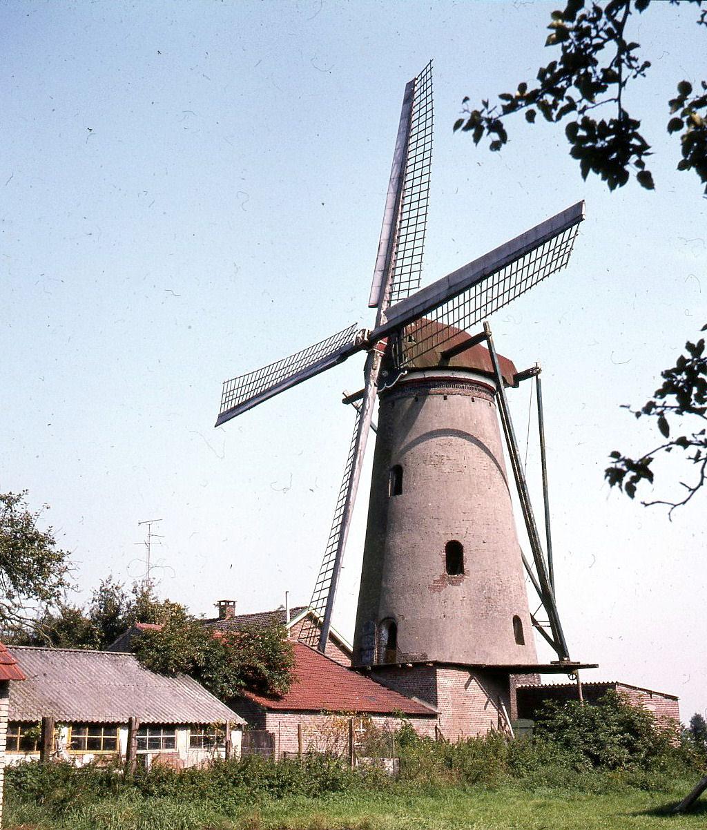 3, Molen 02582 Anna (Berghem), Foto J.L.J. Tersteeg, opname 1969 | Database Nederlandse molens media-bestand