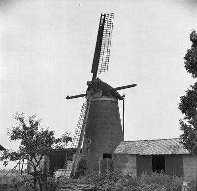 3, Molen 02578 Meule van Swinkels / Nooit Gedacht (Schaijk), Foto: W.A. Korpershoek, juli 1967 | Database Nederlandse molens media-bestand
