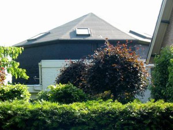 Molen 01944 Levenslust (Wanroij), Foto W. Jans, opname 29 mei 2004 | Database Nederlandse molens media-bestand