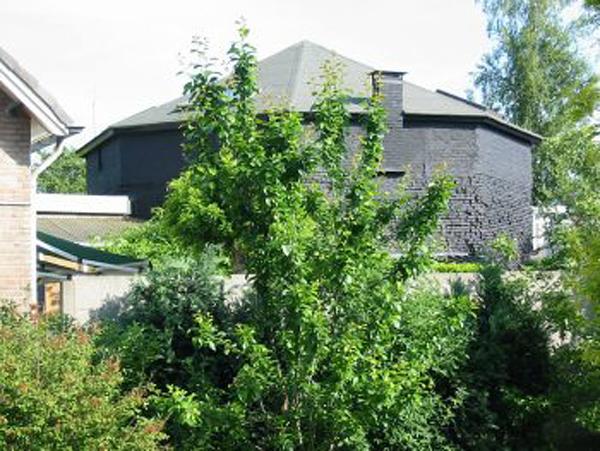 2, Molen 01944 Levenslust (Wanroij), Foto W. Jans, opname 29 mei 2004 | Database Nederlandse molens media-bestand