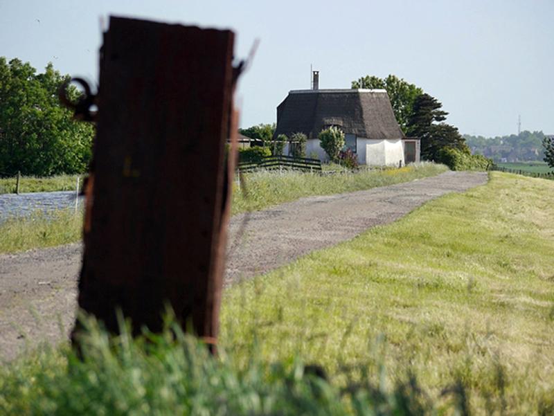 7, Molen 00954 Benthuizer Noord- en Zuidpolder, middelmolen / Nr. 3 (Benthuizen), Foto: S. Boumans, 17 mei 2018, zo te zien staat er een stuk roe als paaltje op de voorgrond | Database Nederlandse molens media-bestand
