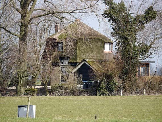 Molen 00842 Polder Herwijnen, Hooglandse Watermolen (2e) (Herwijnen), Foto: S. Boumans, opname 14 maart 2018 | Database Nederlandse molens media-bestand