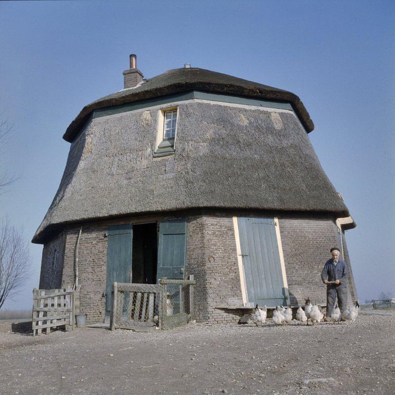 3, Molen 00842 Polder Herwijnen, Hooglandse Watermolen (2e) (Herwijnen), Foto coll. RCE, foto opname 14 maart 1960  | Database Nederlandse molens media-bestand