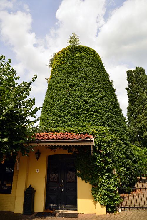 Molen 00875 Reyrinksmolen (Silvolde), foto van Hans Hakvoort, 26-07-2016 | Database Nederlandse molens media-bestand