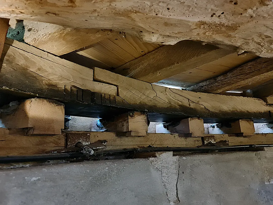 37, Molen 00872 Braamse Molen / Koenders Möl (Braamt), Pieter Zuijkerbuijk (02-10-2025)  | Database Nederlandse molens media-bestand