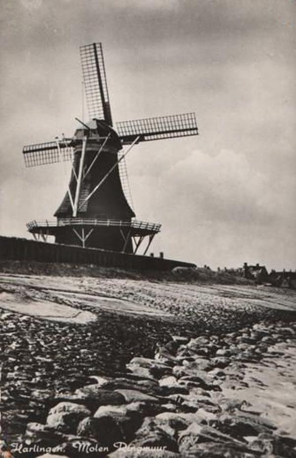 8, Molen 01422 De Bazuin (Harlingen/ Harns), Ansichtkaart, coll. DVM | Database Nederlandse molens media-bestand