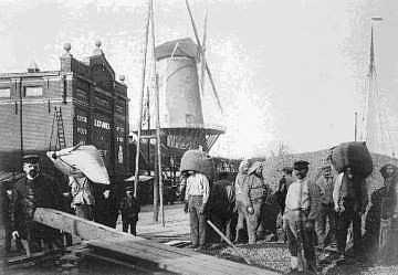 6, Molen 03504 a Het Fortuin / Slikmolen / Molen van Rossum (Delft), foto onbekend, opname circa 1906
 Calvé Zakkendragers bezig met het lossen van een schip voor de fabrieken van  de Nederlandsche Oliefabriek (NOF) van Calvé aan de Wateringseweg met op de achtergrond een deel van de fabrieksgebouwen en de molen Het Fortuin. Links met pet staat meester C.G. van den Broek. | Database Nederlandse molens media-bestand