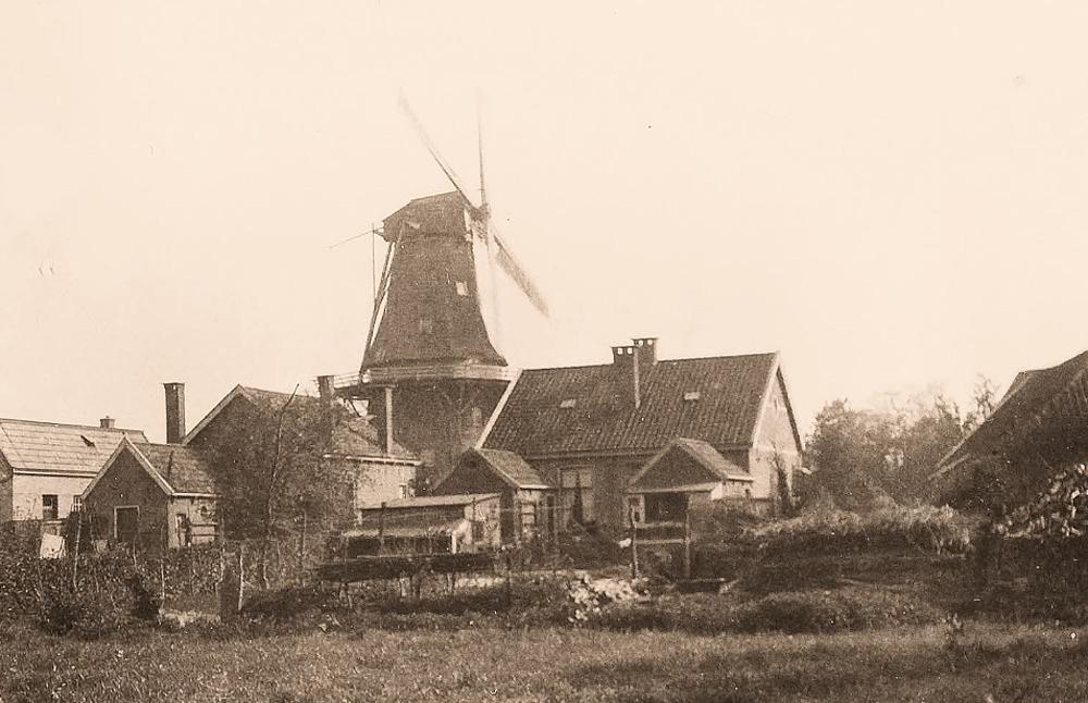 5, Molen 04263 l Nooit Gedacht / Molen van Winters / Molen van Nienhuis (Assen), Foto coll. DHM | Database Nederlandse molens