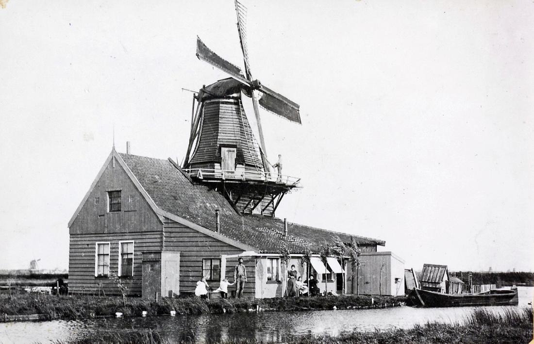 1, Molen 01777 g De Cacaoboom (Westzaan), Foto collectie DHM | Database Nederlandse molens
