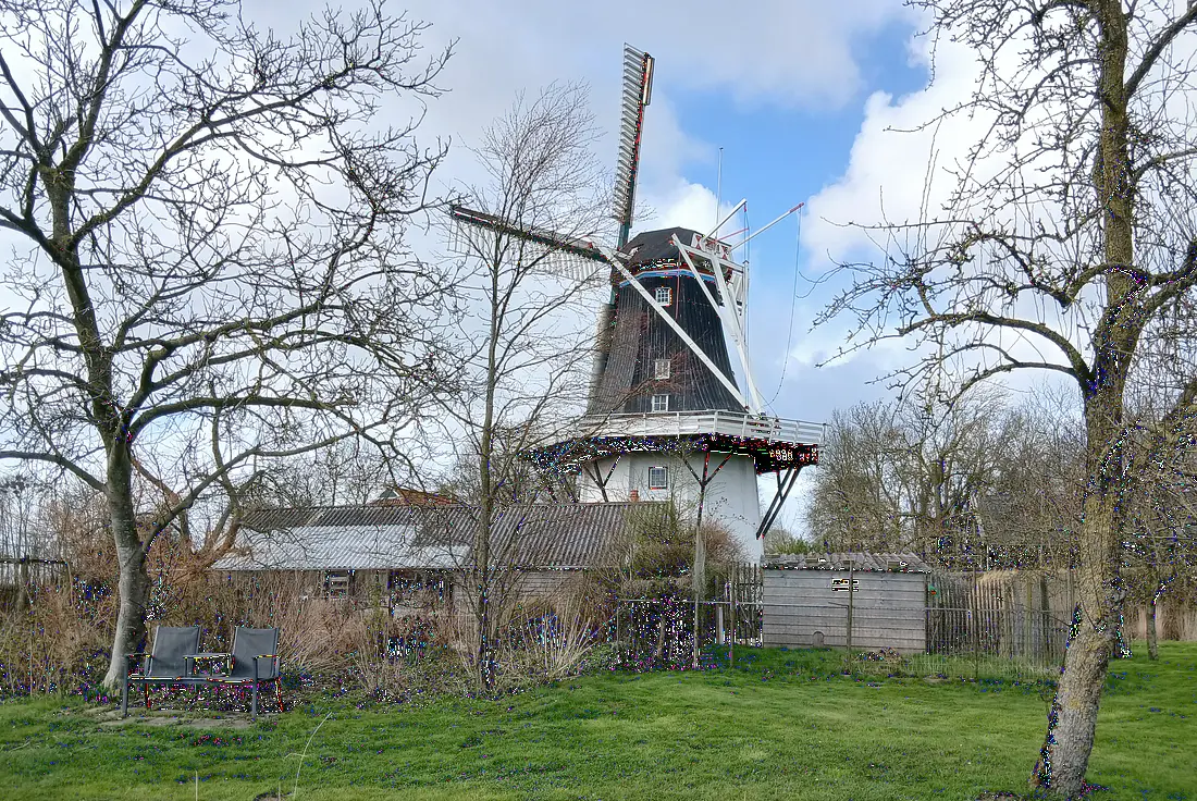 5, Molen 00477 Joeswert (Feerwerd), Gijs Dinand Nienhuis (25-03-2026)&nbsp; | Database Nederlandse molens