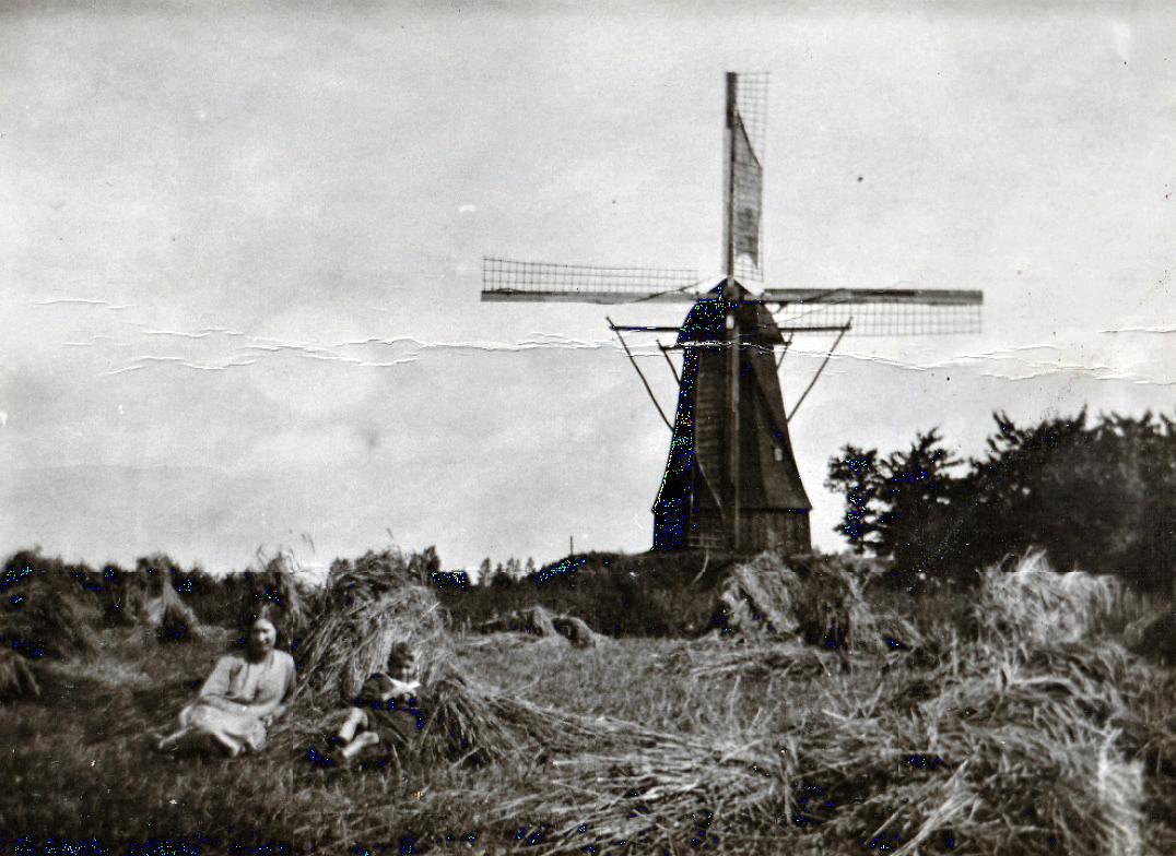 Molen voorganger Westerveld Möl (Tilligte), Foto collectie DHM | Database Nederlandse molens