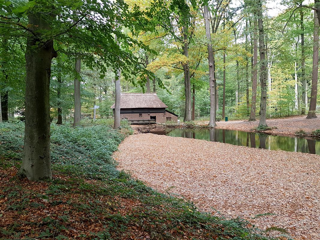 1, Molen 10086 Voorheen Achterste Molen Loenen (Arnhem), Pieter Zuijkerbuijk (18-10-2018) | Database Nederlandse molens media-bestand