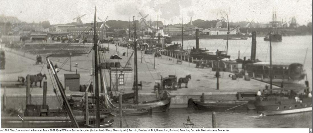 1, Molen 06678 z De Bosland / De Boslander (Rotterdam), cabinetfoto uit eigen verzameling. Geen uitgever vermeldToelichting: mooie duidelijke foto, collectie P. van den Berg | Database Nederlandse molens