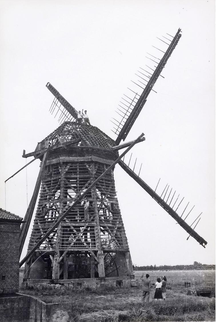 3, Molen 00251 Dorpspolder Enspijk (Enspijk), foto collectie DHM, opname ca 1951 | Database Nederlandse molens