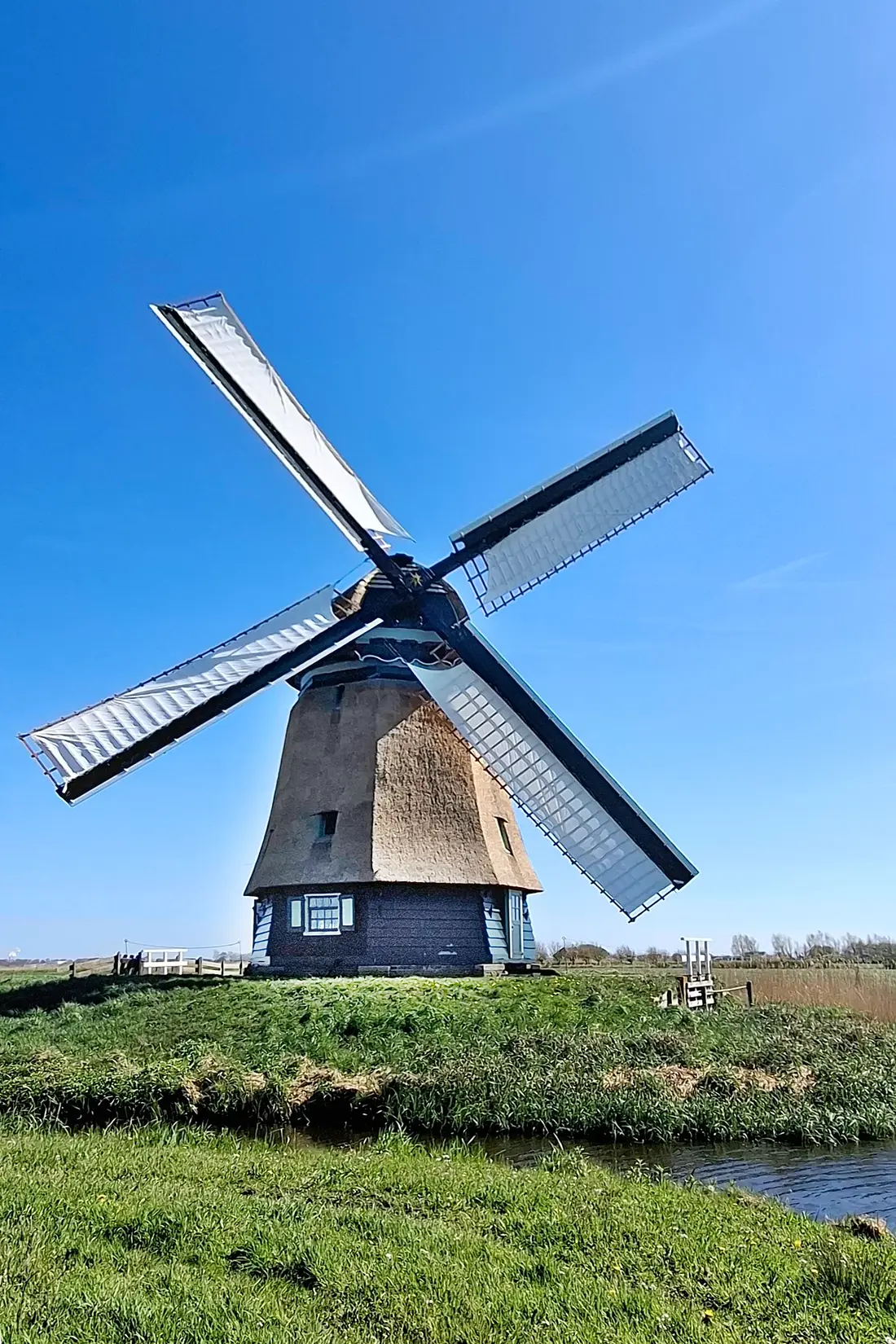 Molen 01097 Philisteinse Molen (Bergen), John Alkemade (23-04-2026)&nbsp;Na de restauratie. | Database Nederlandse molens