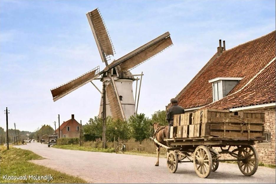 Molen 03608 De Greupmolen (Westmaas), Ansichtkaart | Database Nederlandse molens
