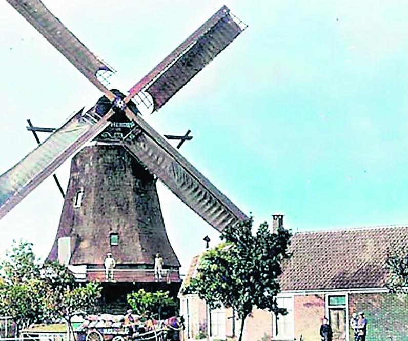 Molen 00819 De Herder / Molen van Bram Verweij (Willeskop), ingekleurde ansichtkaart | Database Nederlandse molens