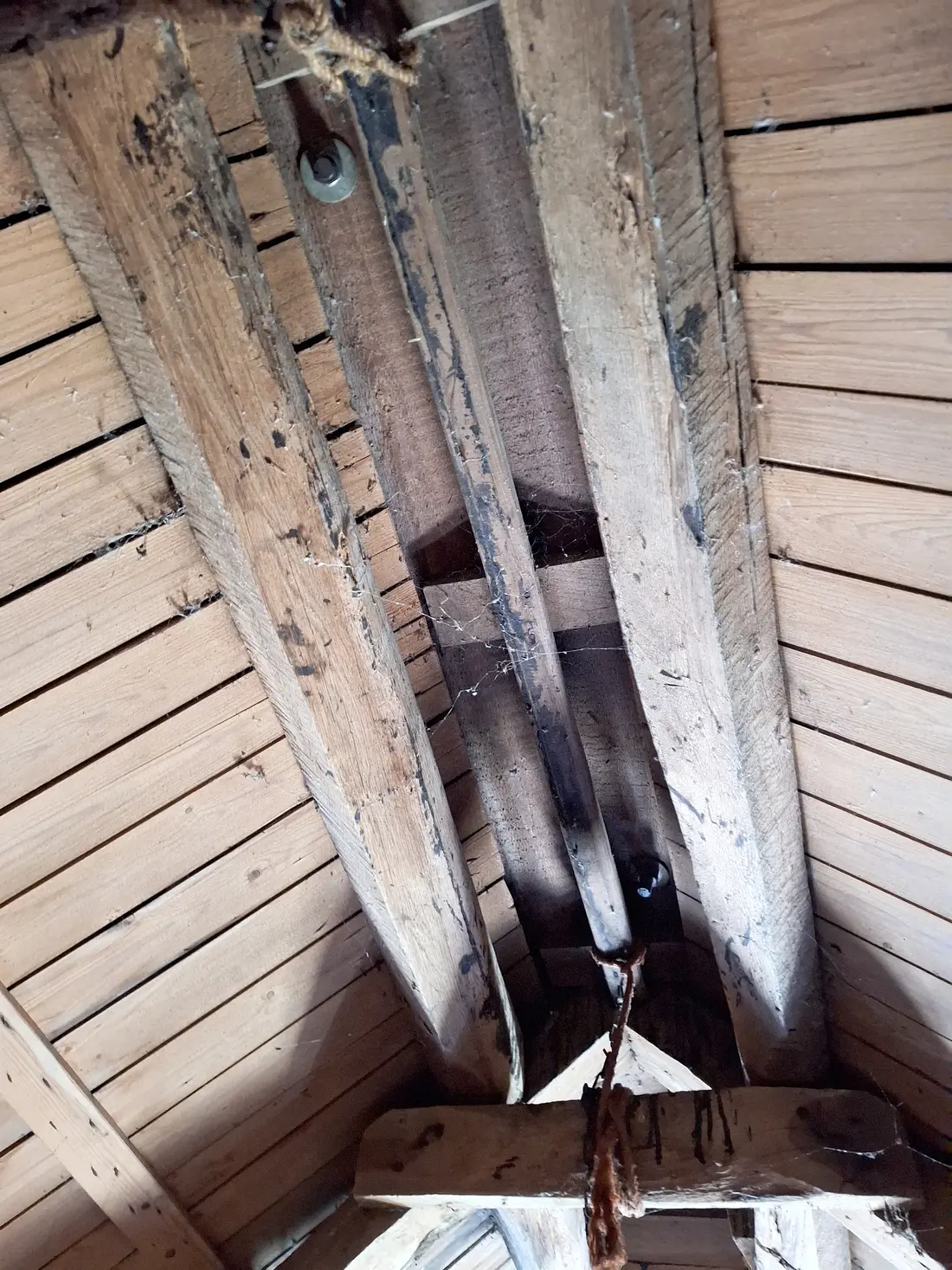39, Molen 03114 Teunismolen (Dinxperlo - De Heurne), Jay Verkerk (25-04-2026)Een uitneembare nokplank die er destijds kon worden uitgehaald om bijvoorbeeld makkelijk onderhoud te plegen. Dit is iets typisch voor molenmaker Kreeftenberg uit Varsseveld.&nbsp; | Database Nederlandse molens