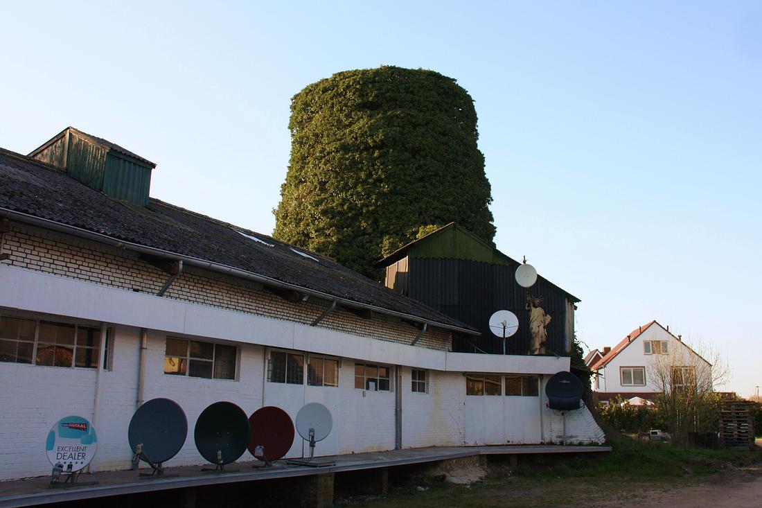 2, Molen 03509 Molen Raemaekers (Roggel), Foto van Denis van Cronenburg, opname 17-04-2010 | Database Nederlandse molens