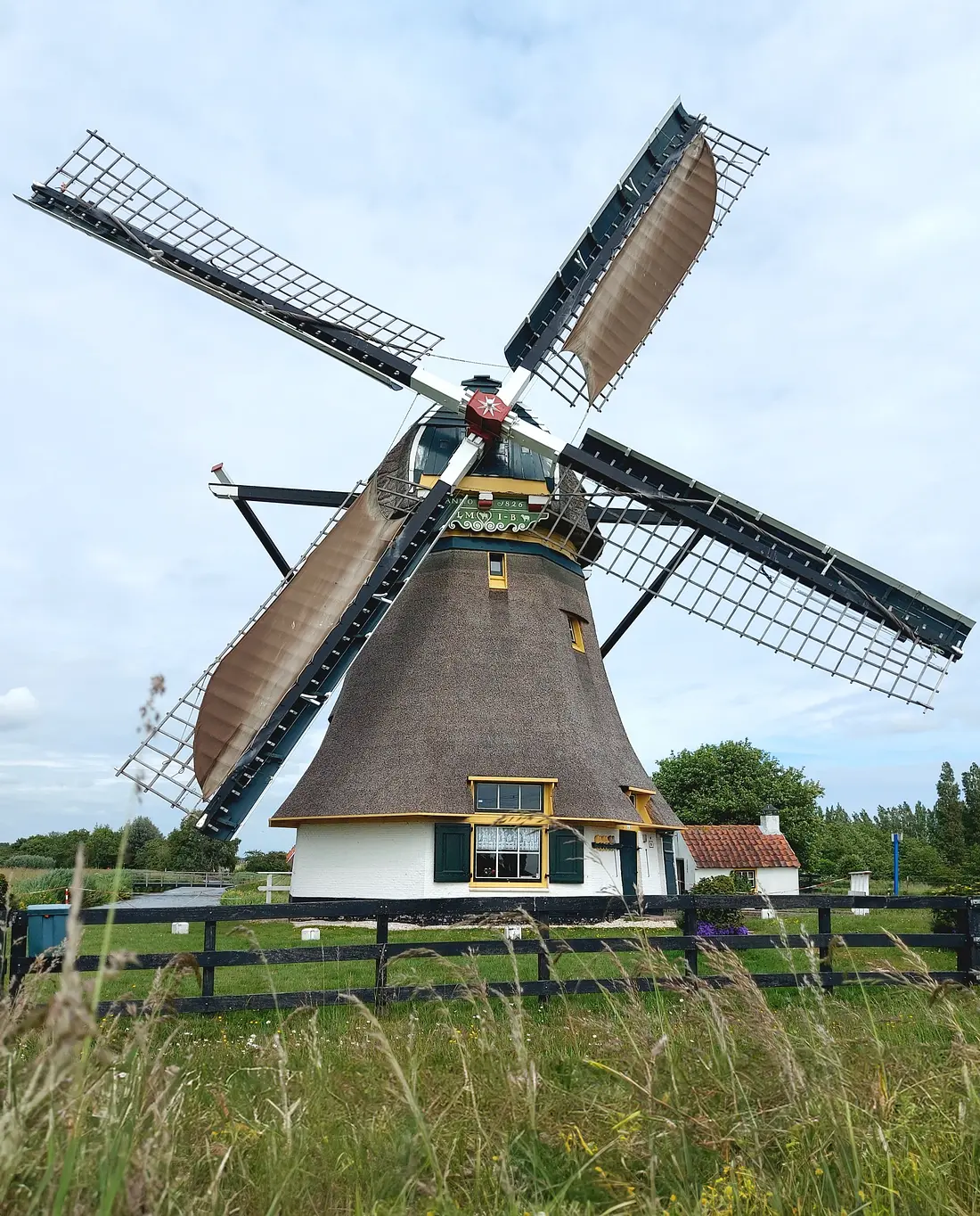 Molen 12343 Schaapweimolen (Rijswijk), Lia van der Kruyk - Slingerland (26-05-2022)&nbsp; | Database Nederlandse molens