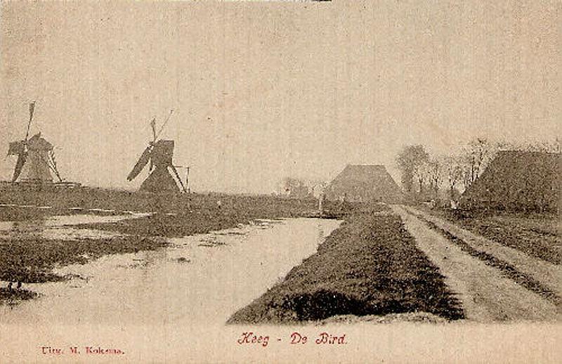 2, Molen 03674 d Polder 243 (Heeg/ Heech), Ansichtkaart collectie Frans Weemaes, links polder 242, rechts polder 243 | Database Nederlandse molens