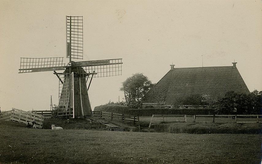 Molen 03671 Polder 22 (Dedgum/ Dedzjum), Ongedateerde foto. Boerderij op achtergrond is nog steeds aanwezig.
Collectie Paul van den Berg | Database Nederlandse molens