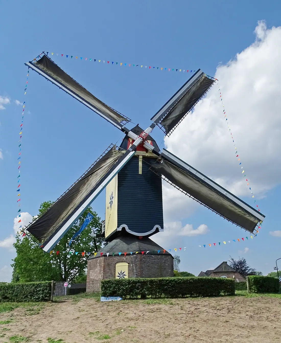Molen 12194 Windlust (Nistelrode), Martin E. van Doornik (09-05-2026)&nbsp;Draaiend met volle zeilen, de biotoop is erg slecht. | Database Nederlandse molens