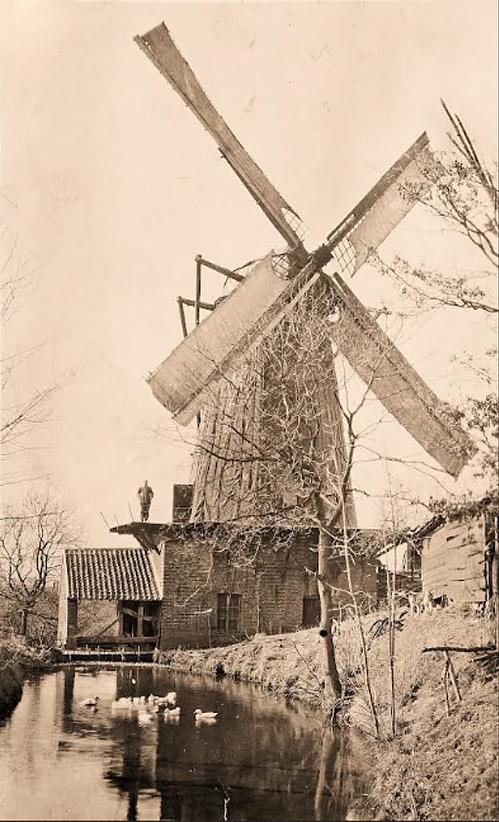 Molen 03903 Molen van Leeuwen (Leeuwen), Foto: collectie Rob Pols | Database Nederlandse molens