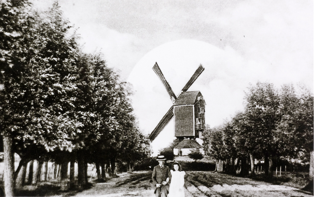 1, Molen 01868 d Rust Niet (Steenbergen), Afbeelding collectie DHM | Database Nederlandse molens