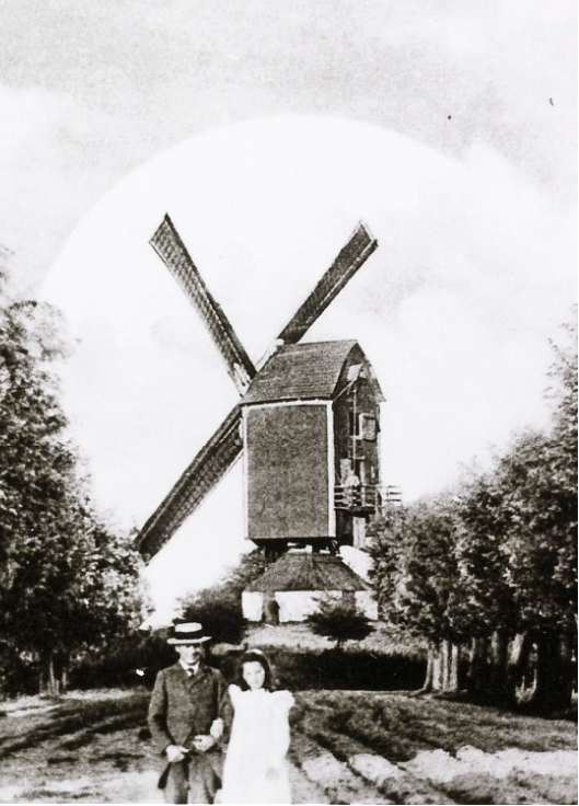 Molen 01868 d Rust Niet (Steenbergen), uitsnede van ansichtkaart, coll. DHM | Database Nederlandse molens
