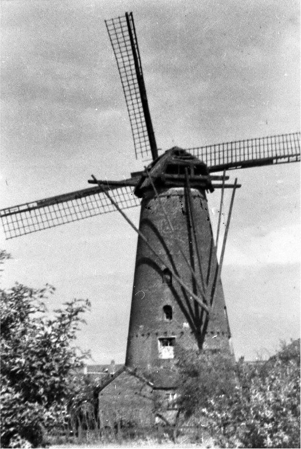 Molen 00293 Molen van Grootel (2e) (Eindhoven), Afbeelding collectie DHM | Database Nederlandse molens