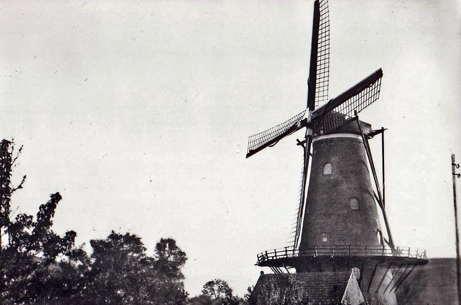 6, Molen 01668 Molen van Risseeuw (Breskens), Ansichtkaart, serie 17 nr 3, coll DVM | Database Nederlandse molens
