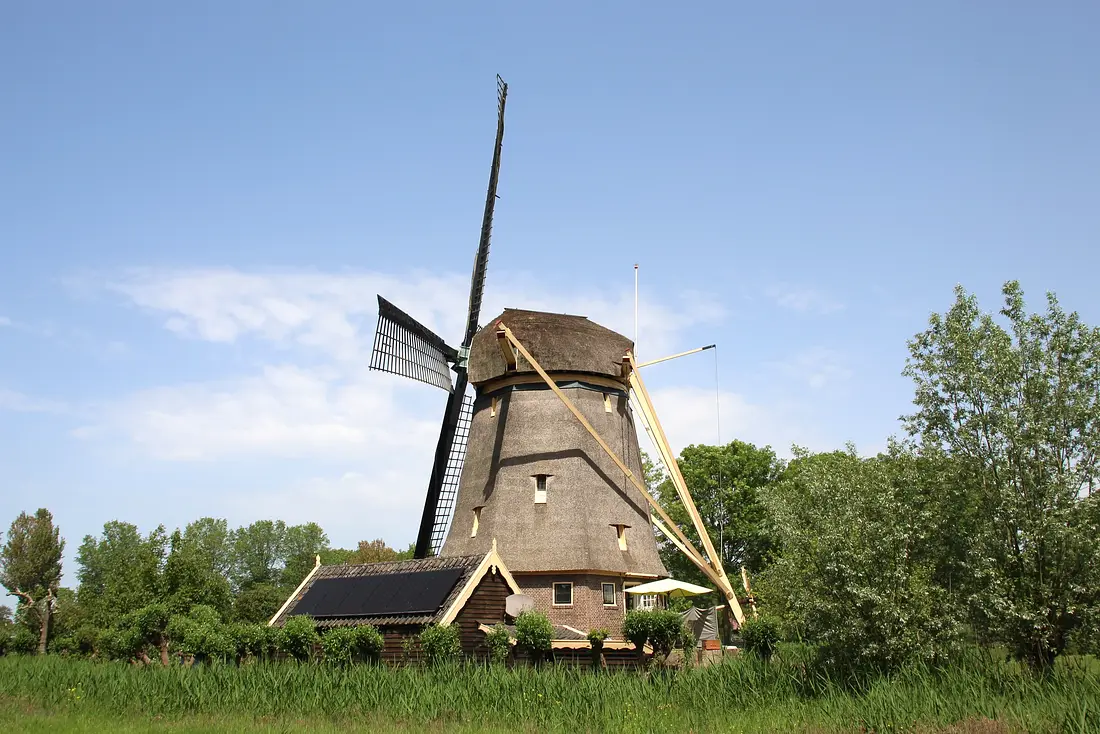 3, Molen 00280 De Zwaan (Ouderkerk aan de Amstel), Denis Van Cronenburg (23-05-2026) | Database Nederlandse molens