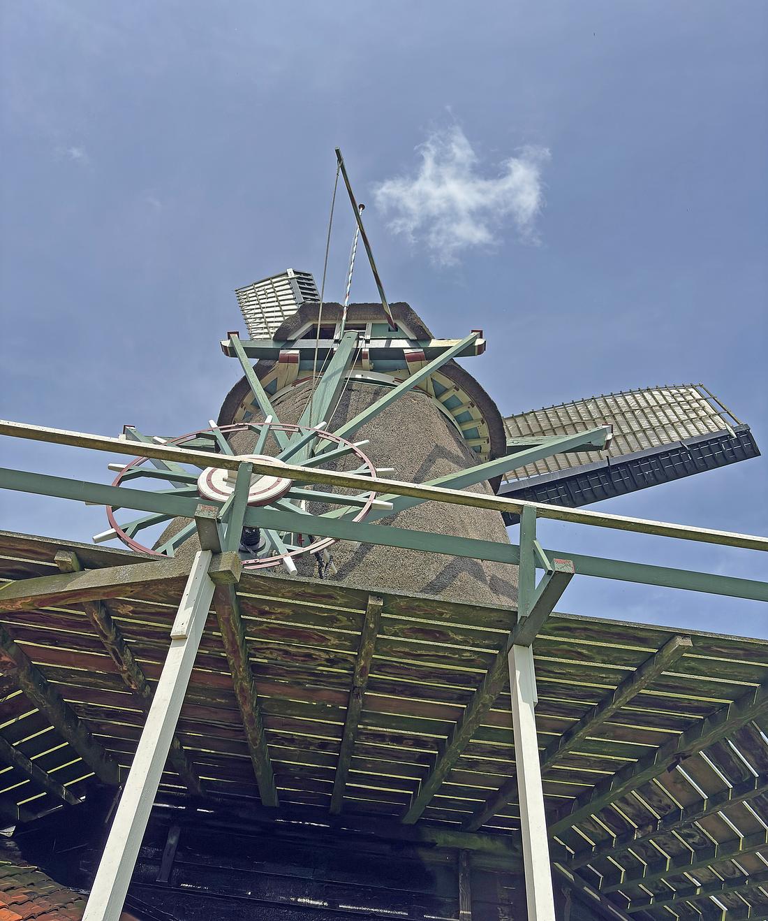7, Molen 01080 Het Prinsenhof (Westzaan), Bernhard IJskes (30-05-2026)
Detailopname brede pelwieken en verschillende ondersteuningen van de stelling. | Database Nederlandse molens