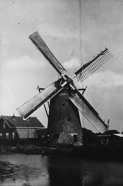 Molen 01528 Poelpolder / Peilmolen (Gravenzande, 's-), Foto ingestuurd door Bart van Zijderveld | Database Nederlandse molens
