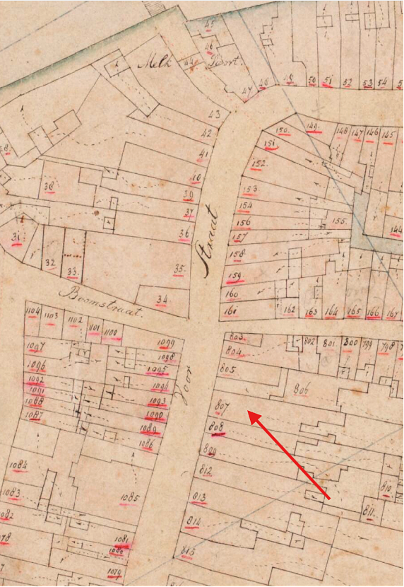 Molen 07874 Pauwestein (Dordrecht), Detail van de Kadastrale kaart 1811-1832: minuutplan Dordrecht, Zuid-Holland, sectie G1, blad 01, nr 807 (MIN08037G01) | Database Nederlandse molens