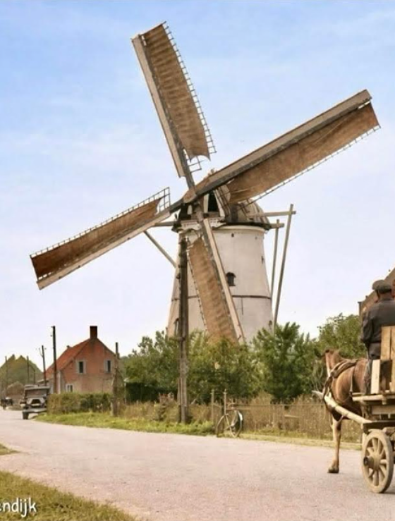 Molen 03608 De Greupmolen (Westmaas), deel van onderstaande ansichtkaart | Database Nederlandse molens