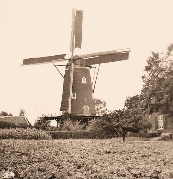 2, Molen 02575 De Hoop (Beers), Foto collectie DVM | Database Nederlandse molens