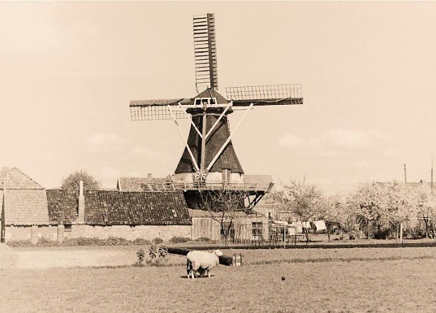 2, Molen 06423 De Werkman / De molen van Wilts (Blijham), Foto nn. DVM | Database Nederlandse molens