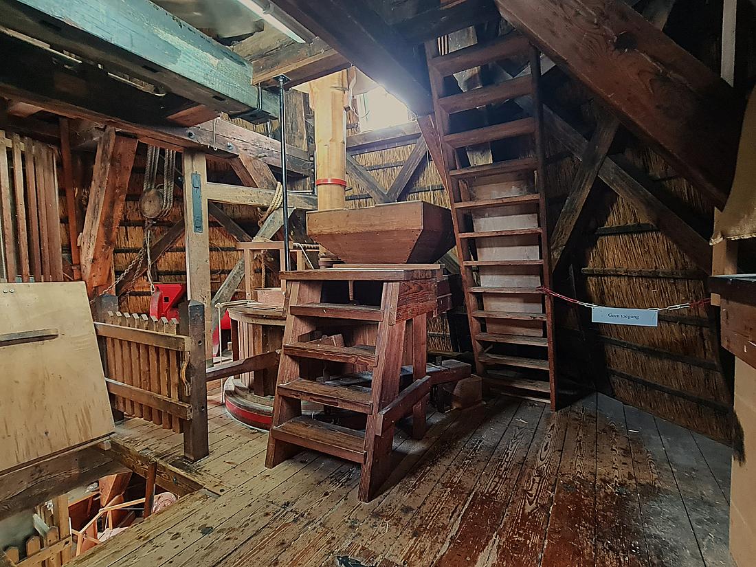 50, Molen 00682 De Wachter (Zuidlaren), Pieter Zuijkerbuijk (02-09-2026)&nbsp; | Database Nederlandse molens