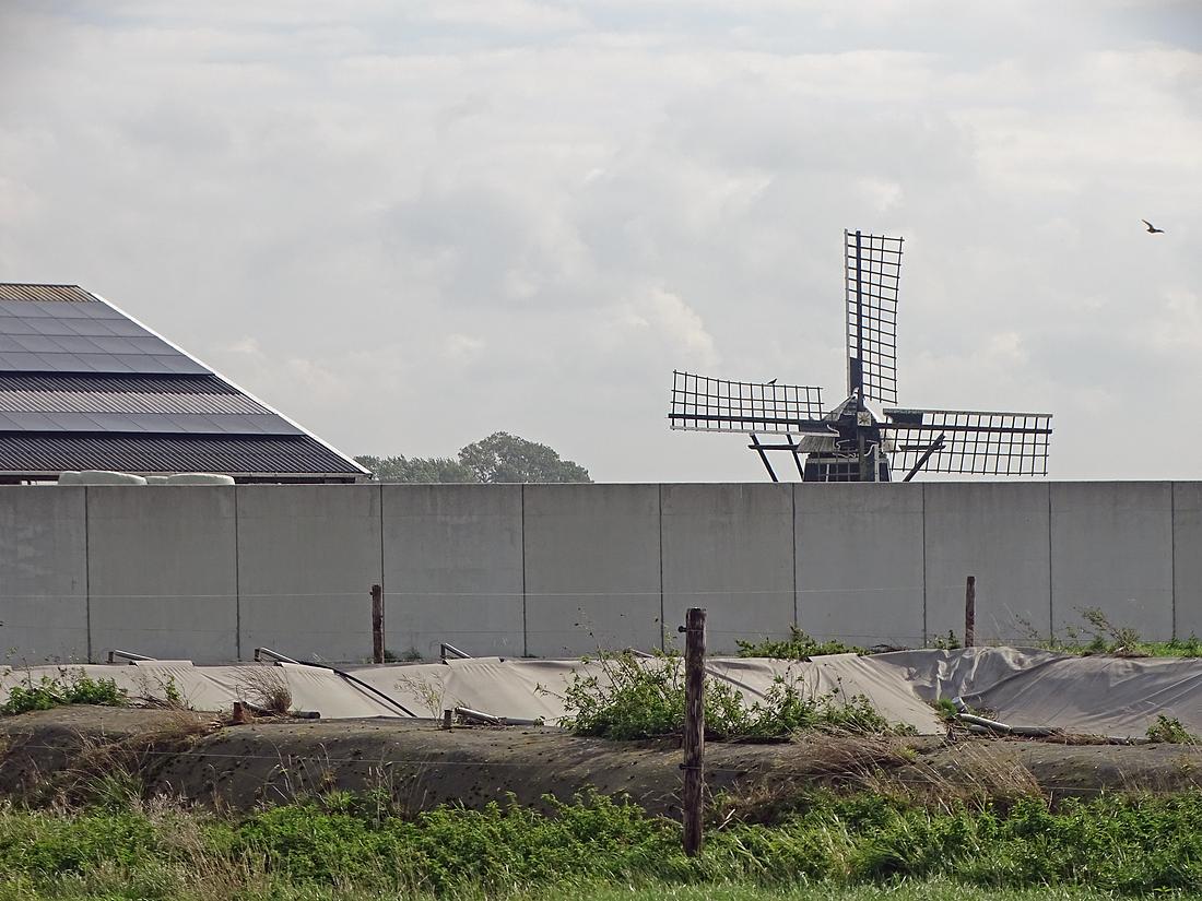 2, Molen 03739 Edensermolen / Ienzer Mole (Edens / Iens), Martin E. van Doornik (12-09-2026)Een nieuwe betonnen „Berlijnse muur" van ca. 50 meter lengte en 2 meter hoog voor kuilvoer zorgt serieus voor windbelemmering vanuit het noordwesten! | Database Nederlandse molens