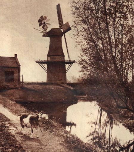 3, Molen 06423 b Polder Wedderveer / Welvaart (Wedderveer), Afb. 1935, coll. Ferdy Bos | Database Nederlandse molens