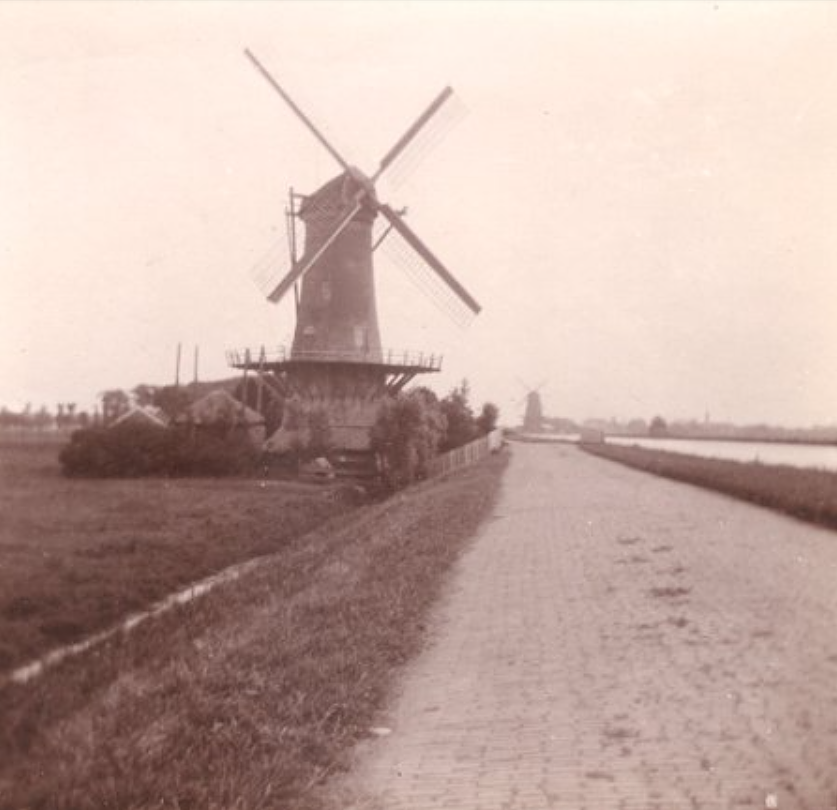 1, Molen 01167 d Polder Schieveen, Bovenmolen / Baliemolen (Rotterdam, stadsdeel Overschie), Foto: collectie Ton Meesters | Database Nederlandse molens