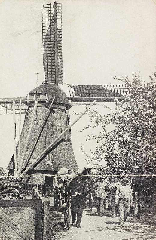 Molen 02475 Korenmolen van Ambrosius (Heerewaarden), Foto coll. DHM | Database Nederlandse molens
