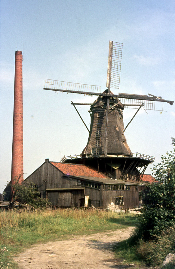 Molen 00976 voorganger van De Salamander (Leidschendam), Foto van september 1968, collectie DHM | Database Nederlandse molens